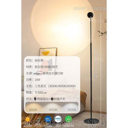 高档好享家小红帽高落地灯中古立式台灯沙发旁围灯影灯光级氛感轻
