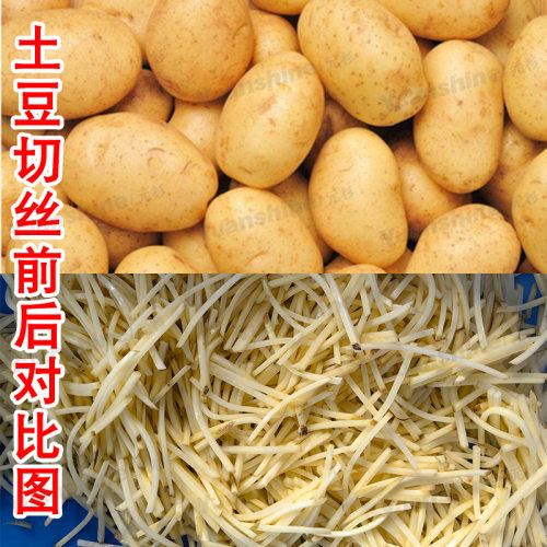 厂家直销切姜丝蒜片竹笋土豆机