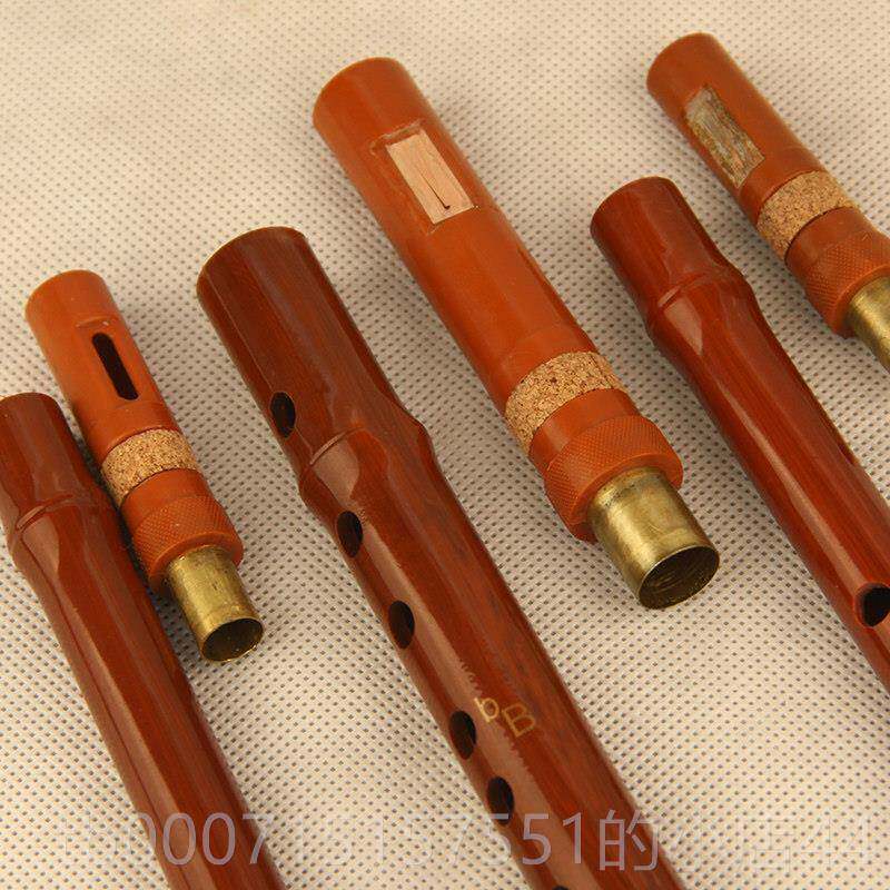 正品品森雀树脂合成木纹正葫芦丝降专B调C调拆专业初学可学生乐器