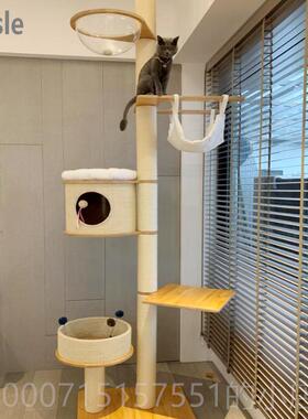 正品C猫atle爬架通天柱季实木猫跳台大型猫咪猫窝夏s别墅猫树一体
