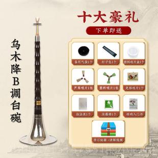 正品 王家彪木唢呐乐器初学者全套d演奏专业入门小号喇片乌叭哨配