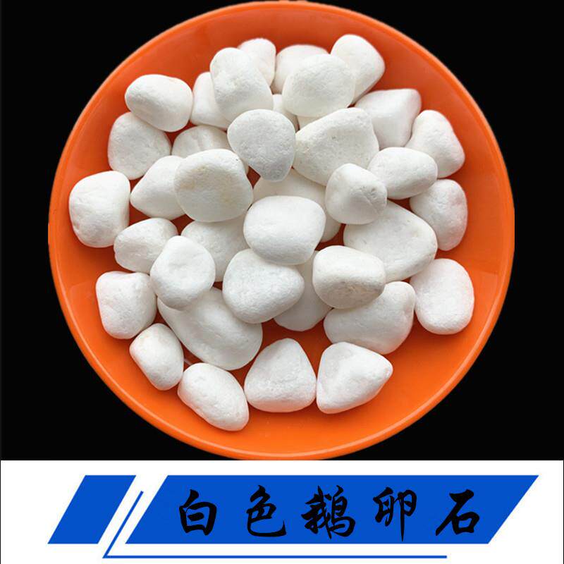 白石子厂家供应园林铺路白色鹅卵石水磨石骨料枯山水造景白碎石