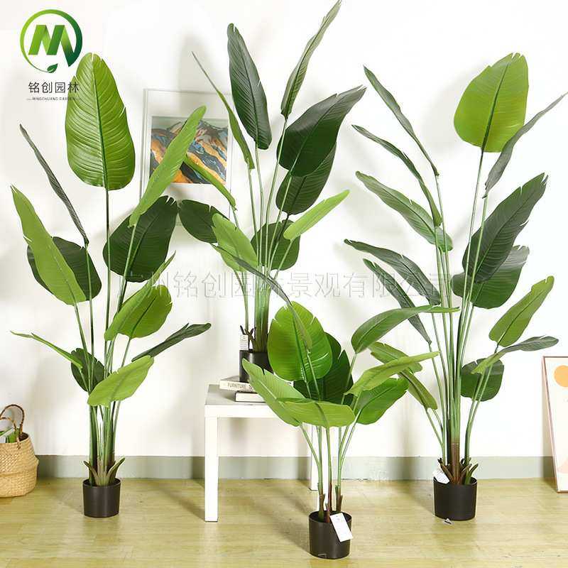 跨境大叶仿真绿植盆栽 仿真旅人蕉盆景 高端客厅大仿真天堂鸟盆景,模玩/动漫/周边/娃圈三坑/桌游,模型制作工具/辅料耗材,淘宝优惠券,粉丝福利购,淘宝优惠卷