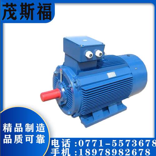 CRUNDFOS格兰富 三相电机MMG100L-2-28FT130-E1 广西资源