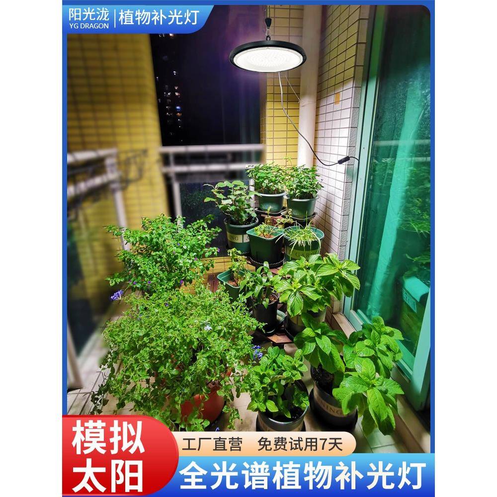 仿太植阳光模拟灯NTE全光谱植物补光灯大棚室卉内养兰花月季物?生