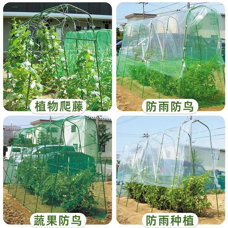 葡萄架花架园艺支架爬藤ttb-5232植物藤果架黄瓜丝百香瓜攀爬菜园