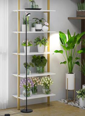 专业植物光灯全光补谱绿生长LEZ灯室内落仿太阳多肉养花卉植光地