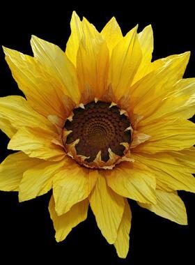 纯手JWP工纸花大型庆向日艺葵花橱窗美陈摄影网红打卡具婚纸道花