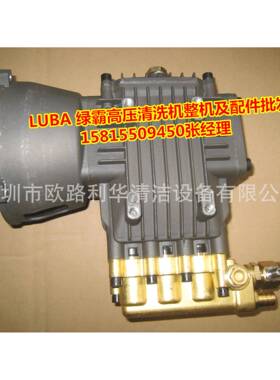 T绿霸高压L清洗机维修配件RDPL1T617M高压铜泵成总整体