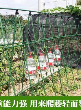 铁线莲攀爬KLX架文花竹子藤卉花植物月季绿萝支撑杆室内爬架架支