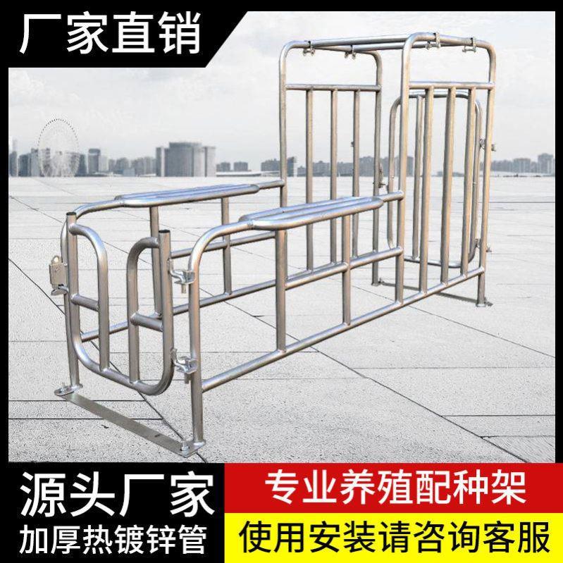 配种配种栏采母猪配种挡架子架公猪升降精架人工器母猪爬架其他