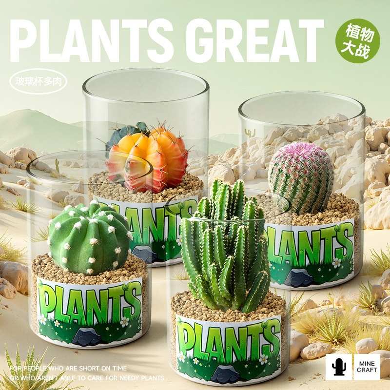 多肉小盆栽钱串仙人掌植物办公室桌面新手花卉盆栽好养绿植仙人球