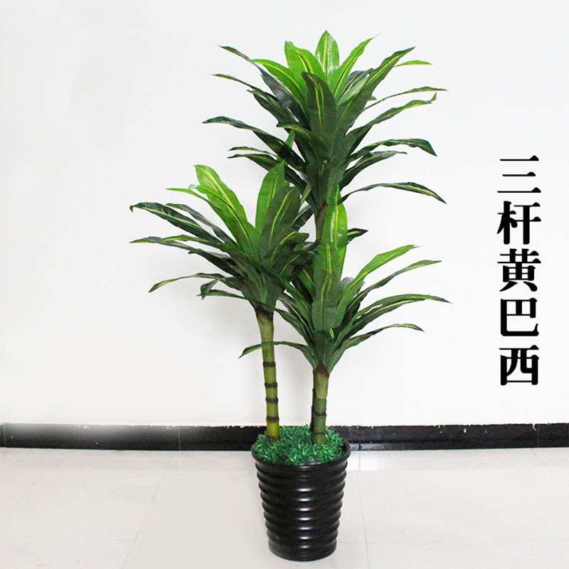 三杆金边巴西铁仿真盆栽大型落地黄巴西假树家居客厅仿生绿植摆件