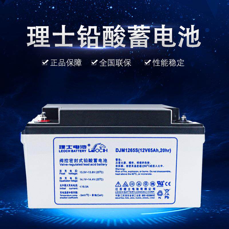 UPS免维护电瓶理士DJM1265S铅酸蓄电池65ah UPS电源厂家一件