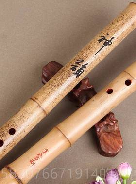 正品华精制一节8桂竹南箫 孔 孔G6F调演奏洞箫 带竹根大永头萧乐
