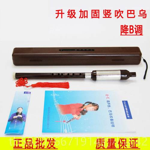 高档树脂调巴乌乐竖吹调降B调GF调学生儿童C教学成人初学者演奏器