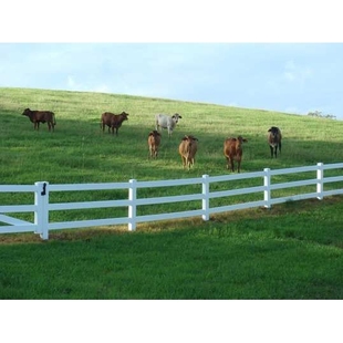 马场护栏马场围栏施工围挡PVC护栏美式护栏跑马场围栏