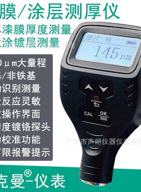 泰克曼TM221铁基/非铁基自动识别涂镀层测厚仪汽车漆膜仪膜厚计