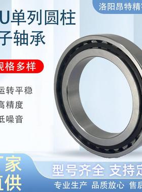 洛阳源头厂家机床主轴轴承N1013K/P4 超精密圆柱滚子轴承替代进口