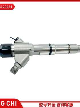 共轨喷油器 0445120224 适用潍柴 WD10 卡车发动机 0445120224