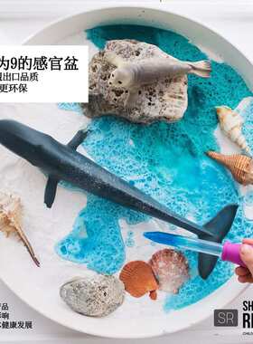 分格感官盆场景搭建蒙氏瑞吉欧sensory playtray欧美款