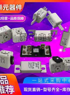 伊顿巴斯曼熔断器170M系列170M7513 170M7516 170M7978现货供应