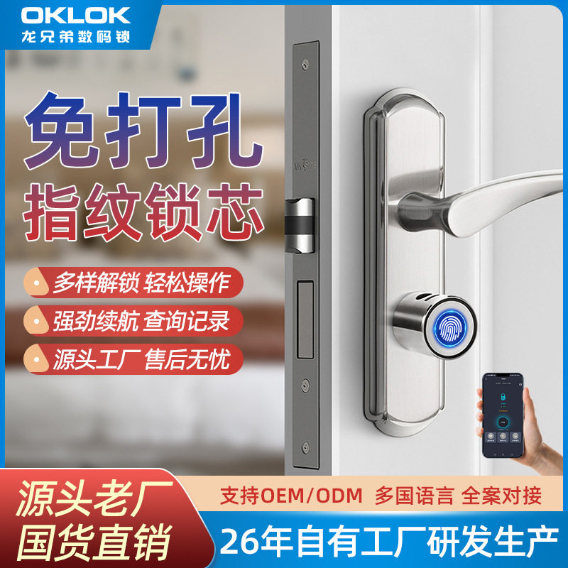 室内指纹锁芯通用型锁心卧室木门房间门办公室家用智能密码电子锁