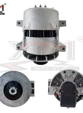 发电机8RG3078/202158 / 105-393 / 10663634/BLP3312/ALT9718/20