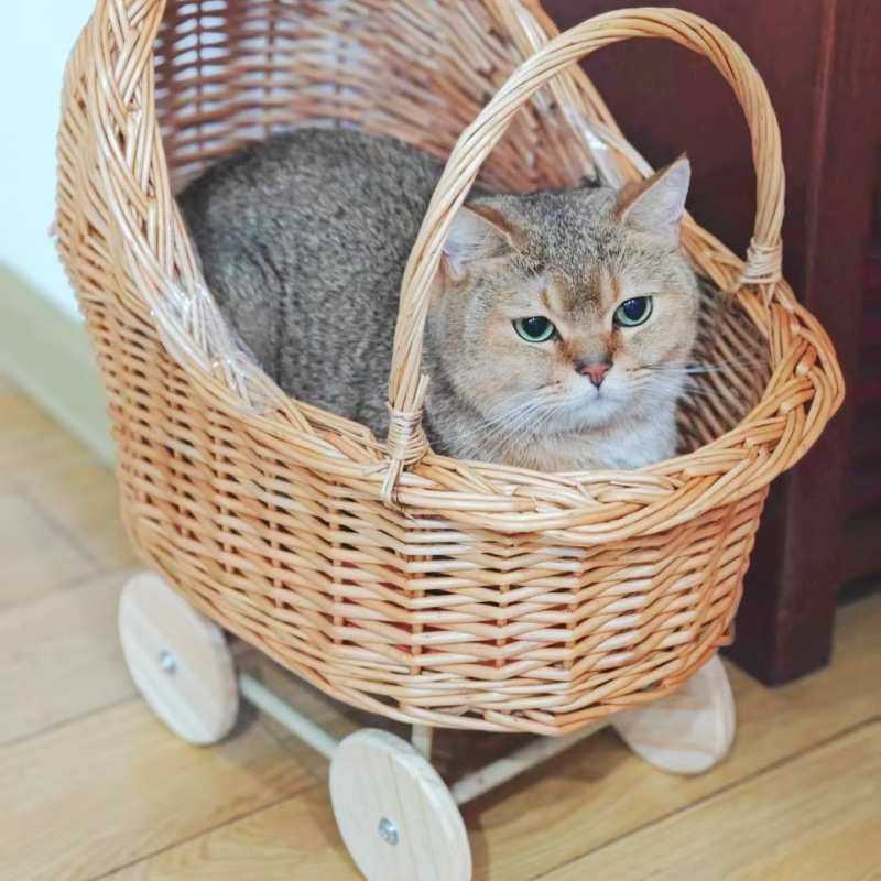 藤编小推车婴儿提篮造型宠物小推车礼盒鲜花篮孕妇装饰品鸡蛋花篮,模玩/动漫/周边/娃圈三坑/桌游,模型制作工具/辅料耗材,淘宝优惠券,粉丝福利购,淘宝优惠卷