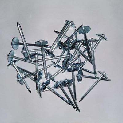 厂楞家直瓦楞铁钉伞头直齐杆瓦楞钉规格全大量直HZP杆杆瓦钉