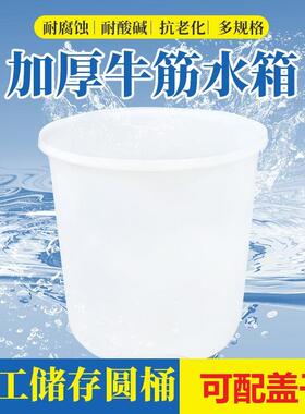 食品级塑料桶牛储水桶带盖子全新料加津厚牛发酵腌制大白桶QIV圆