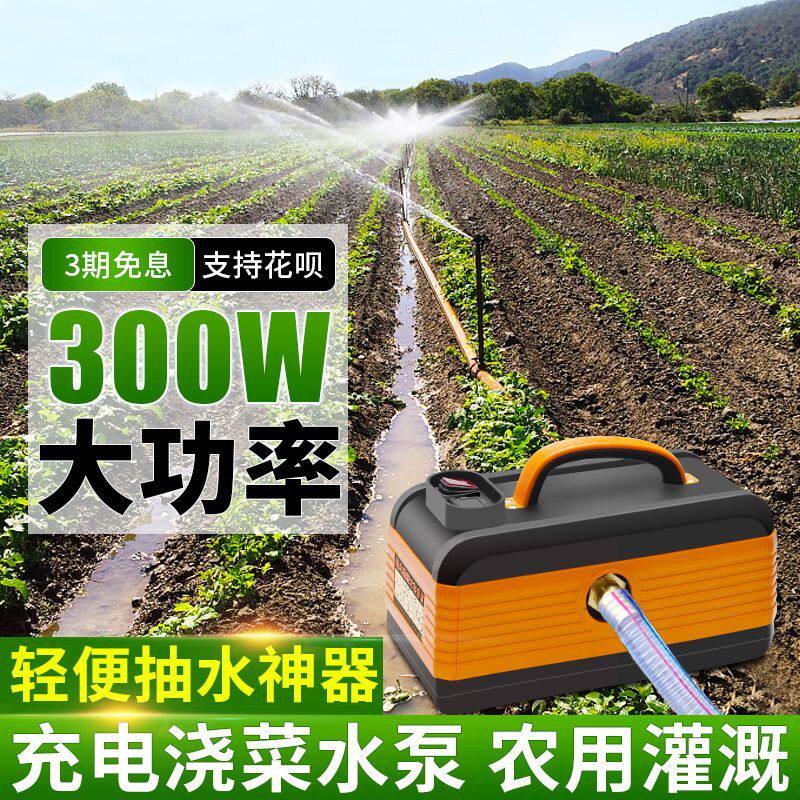 浇水神器抽水泵浇菜锂电抽水机菜地小型充电式农用浇地家用灌溉