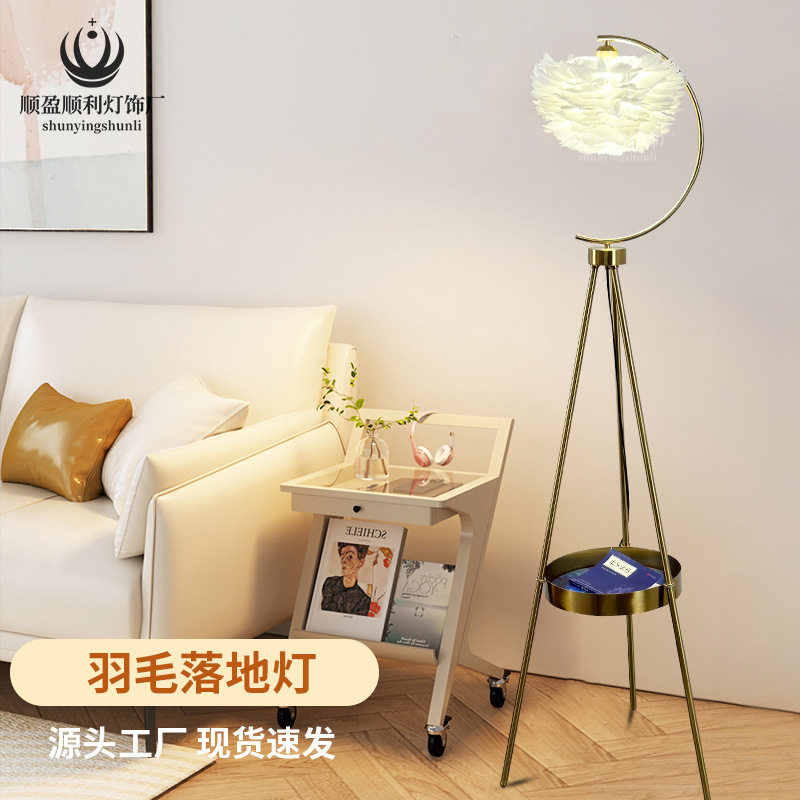 跨境新款ins客厅落地灯可爱少女LED卧室床头灯时尚创意网红羽毛灯
