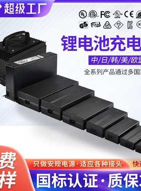 定制400W系列 电池67.2V3A 4A 5A6A7A8A9A10A12A欧规电动车充电器