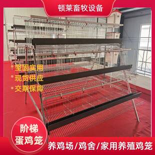阶梯蛋鸡笼阶梯式A型蛋鸡笼家用养殖鸡笼厂家直发鸡舍农业养殖