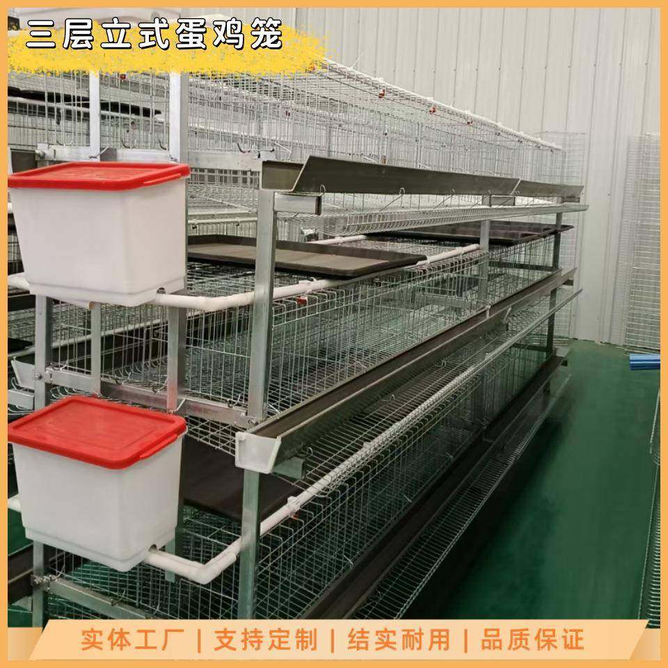 养鸡笼三层立式蛋鸡笼镀锌工艺防锈耐用多规格可选,畜牧/养殖物资,特种养殖设备,淘宝优惠券,粉丝福利购,淘宝优惠卷