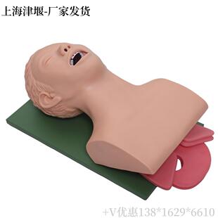 成电子人体人气管插管训练模型带牙齿受压报鼻警609口咽管气道理