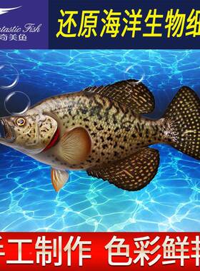 废物鱼型海洋艺品半边璃fwy17钢雕塑墙工壁挂仿真模鱼模型室内装