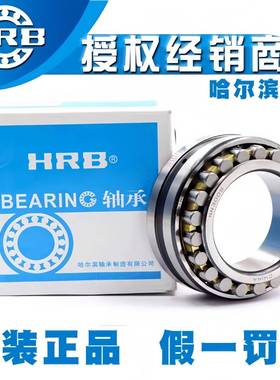 HRB哈滨尔轴承NN3005K/P5/P43W3主机床77轴轴承高精密