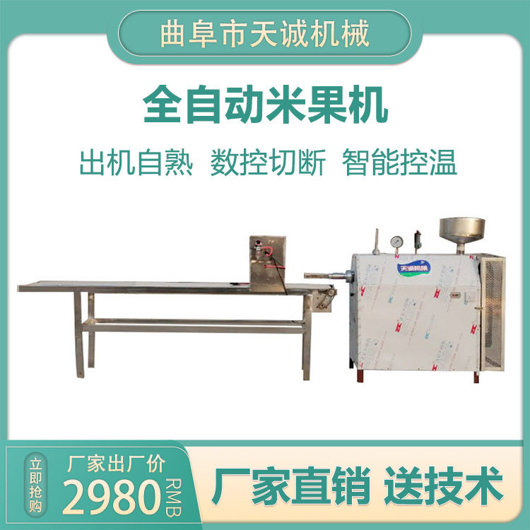 天诚不锈钢小型自熟年糕饵块机