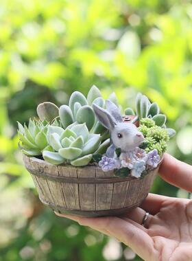 如果创意多肉花盆兔子动物公仔微景盆树脂工艺摆件微景观花园装饰