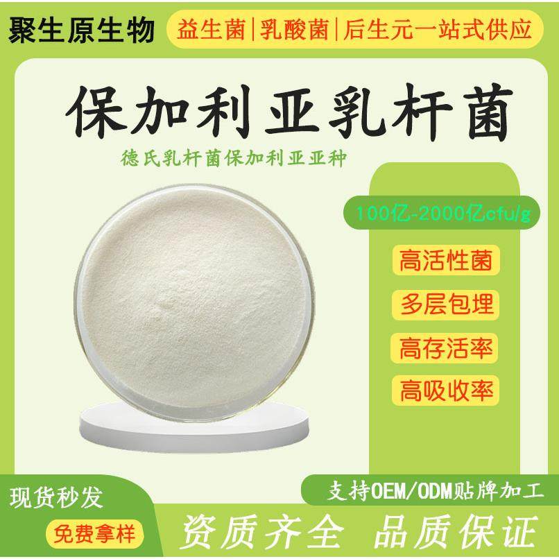 保加利亚乳杆菌100亿益生菌冻干粉乳酸菌固体饮料原料西安聚生原