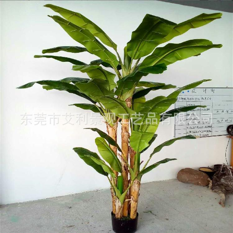 植物芭蕉树 室内橱窗热带盆栽装饰树 人造景观树绿植