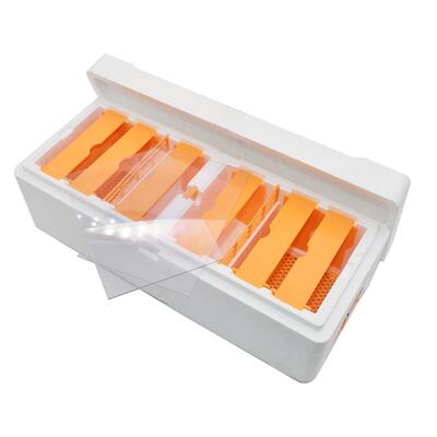 双蜂王交尾箱 自带巢础育王箱 泡沫蜂箱 双蜂王育王箱