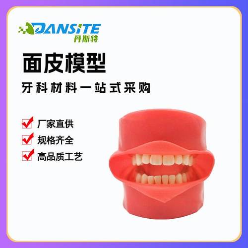 全口可拆卸备28颗牙齿模型加面皮