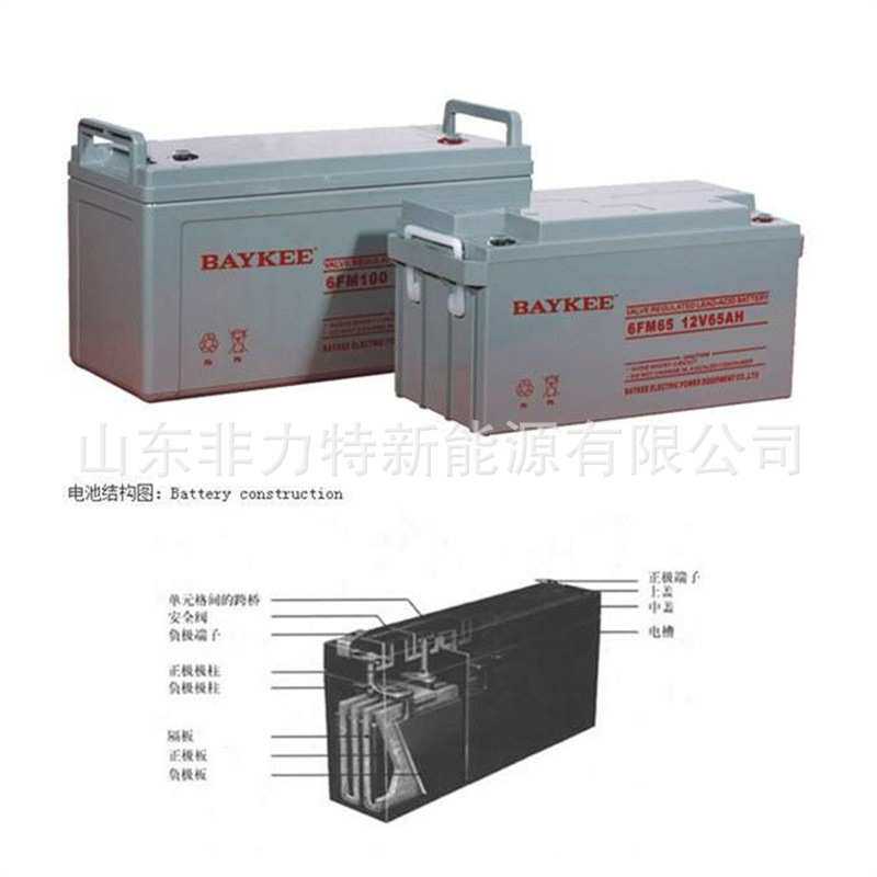 柏克BAYKEE蓄电池6FM40 12V40AH电力系统直流屏UPS主机适配电源