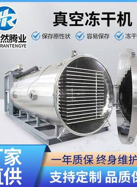 水果干燥真空延长保存期无花果干设备草莓真空冷冻干燥机