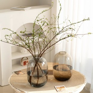 高级感大肚花瓶透明玻璃轻奢客厅摆件插花瓶雪柳鲜枝专用水培花器