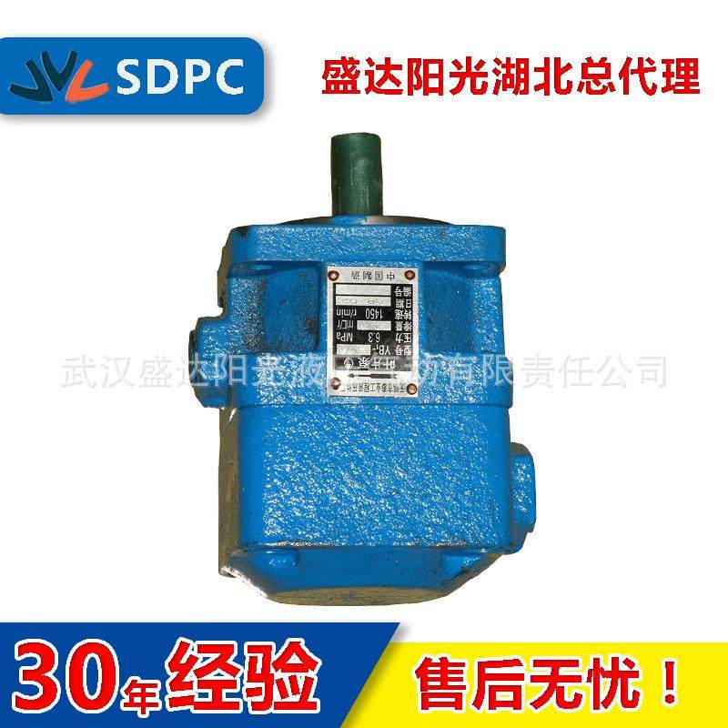 无锡上海广东浙江YB1-2.5 4 YB1-6 10定量叶片泵液压油泵单联双联,玩具/童车/益智/积木/模型,毛绒/玩偶/公仔/布艺类玩具,淘宝优惠券,粉丝福利购,淘宝优惠卷