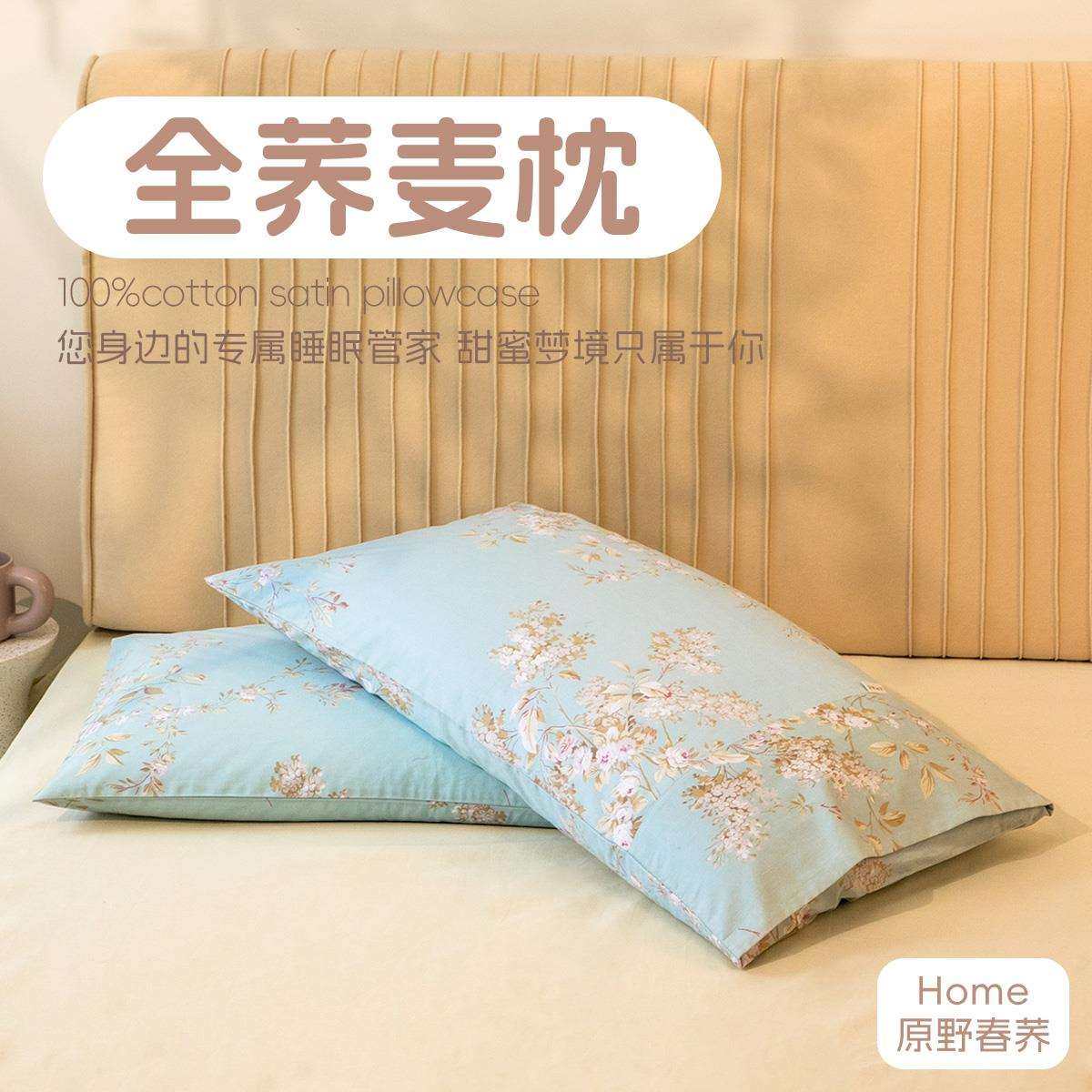 WBZ7荞麦枕头成人儿童全荞麦皮壳枕芯颈椎枕睡眠枕宿舍家用大人单